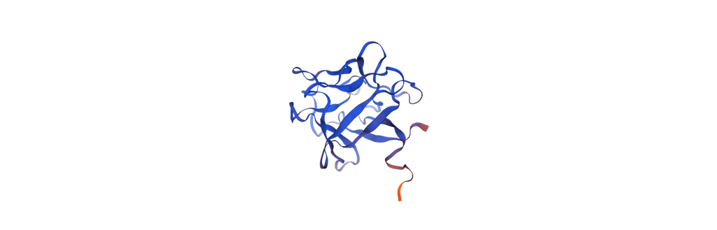 Recombinant Human Basic Fibroblast Growth Factor (OsrhbFGF) - 10 mg