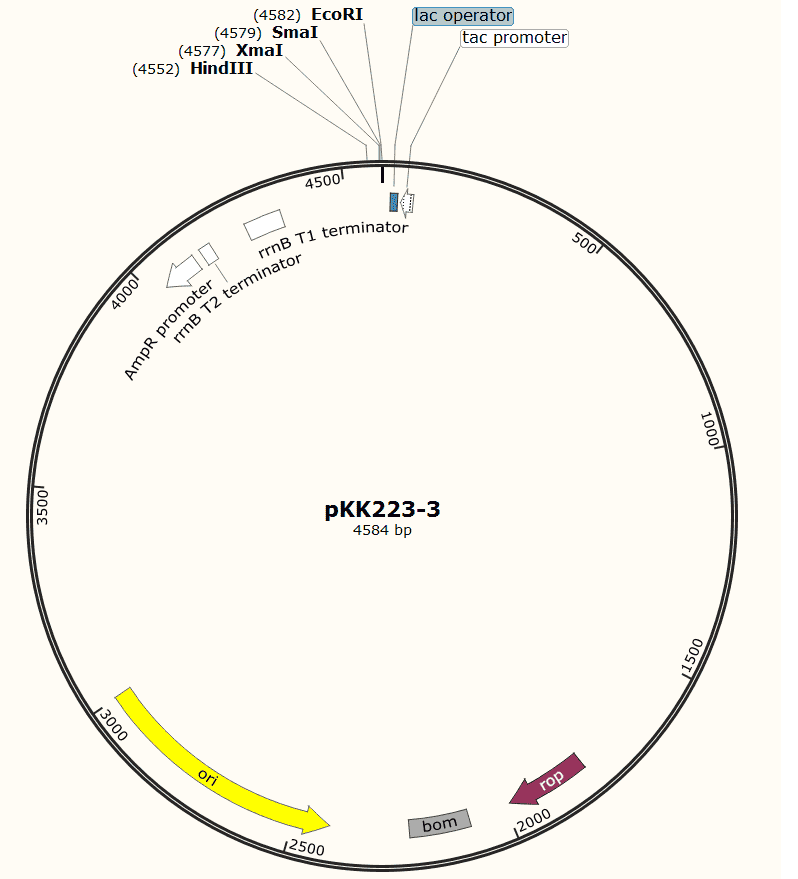 [0820-PVT0825] PKK223-3 plasmid - 2 ug