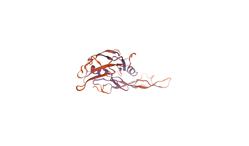 [0399-CSB-EP001666MOa0-02] Recombinant Mouse Muellerian-inhibiting factor (Amh), partial (450-552aa), N-terminal 6xHis-tag, E. coli expression - 100 ug