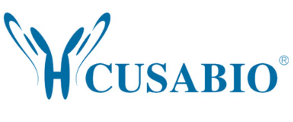 rgpB Antibody, HRP conjugated - 100ug