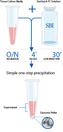 ExoQuick TC (exosome isolation from tissue culture media) - 10 mL
