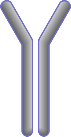 HRP-conjugated Goat Anti-Rabbit lgG - 1 mL