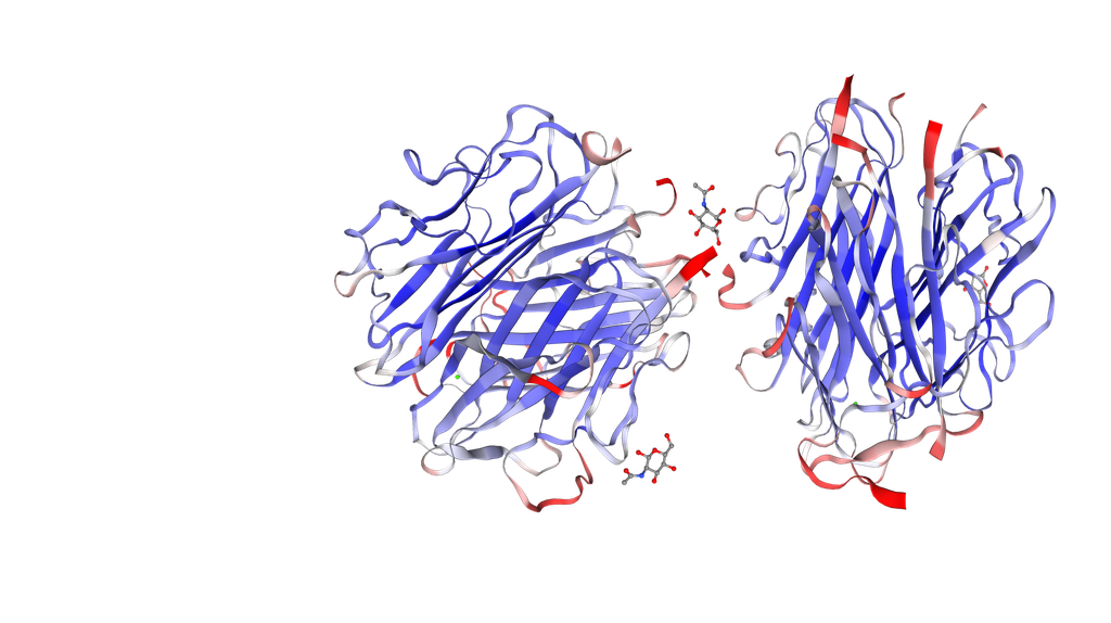 Human Complement Component C1q Native Protein - 1000 µg/vial