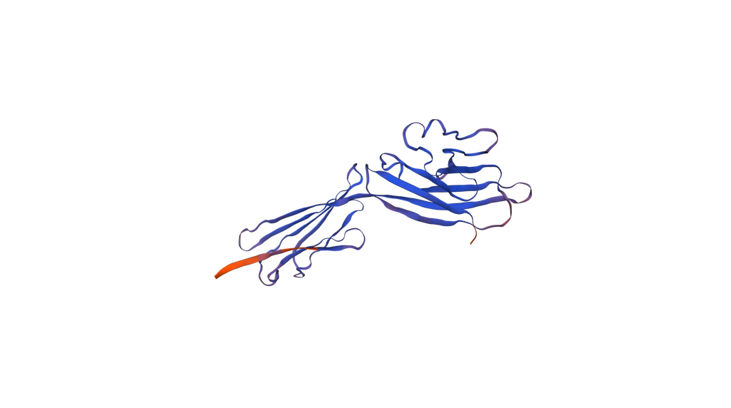 Recombinant Human CD200 (C-6His) - 50 µg
