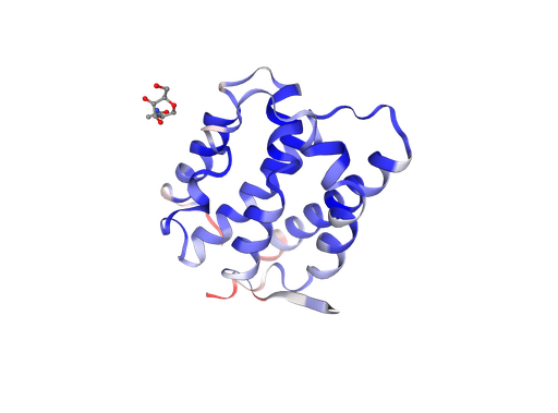 [0399-CSB-EP883391HU-B-20UG] Recombinant Human Interleukin-19 (IL19), Biotinylated - 20 ug