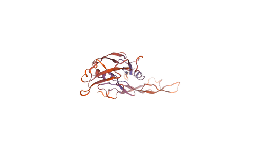 [0399-CSB-EP001666MOa0-1MG] Recombinant Mouse Muellerian-inhibiting factor (Amh), partial (450-552aa), N-terminal 6xHis-tag, E. coli expression - 1 mg