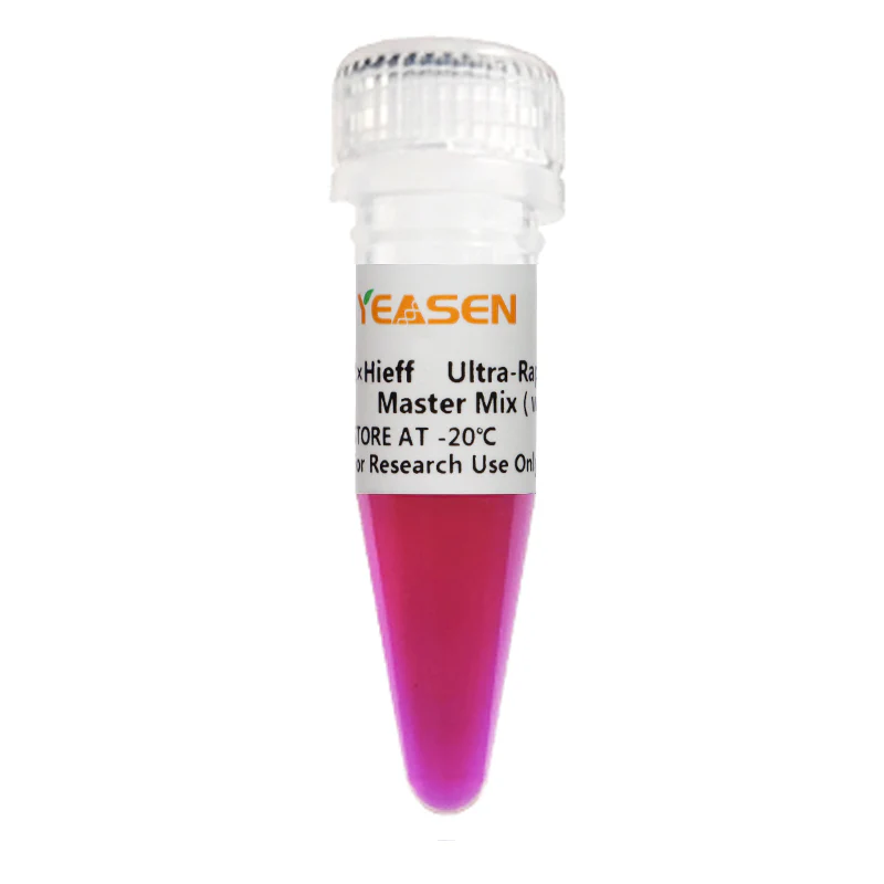 [1042-11184ES08] Hieff UNICON™ Universal Blue qPCR Master Mix - 5x 1 mL