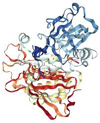 [1015-93785ES60] Biotinylated Human ENPP-1 Protein, His-Avi Tag - 100 ug