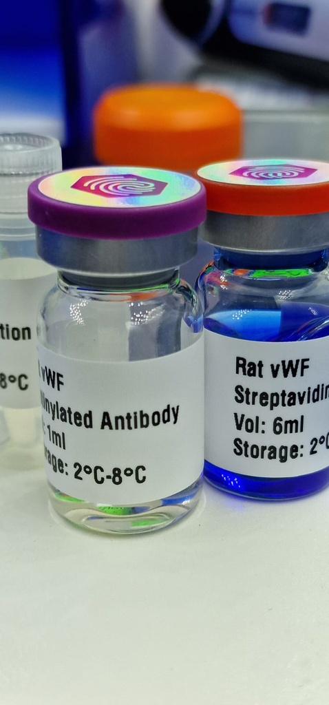 [0544-MBS8248775-0.05MG] Chymotrypsin-Like Elastase Family Member 3a Preproprotein (CELA3A) Human Recombinant Protein - 0.05 mg