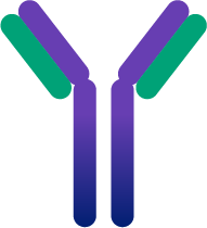 [0763-E-AB-1014-120UL] Goat Anti-Rabbit IgG (H+L), FITC conjugated - 120 uL (0.5 mg/mL)